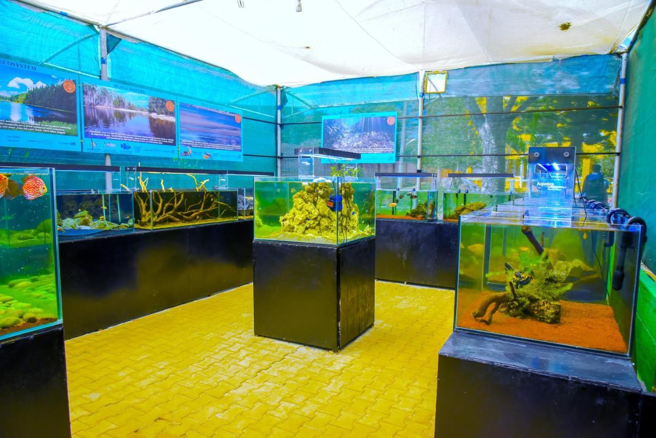 Fundera Aqua Stay Yelagiri Eksteriør bilde